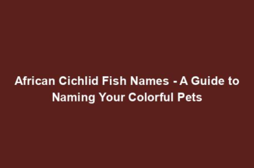 African Cichlid Fish Names - A Guide to Naming Your Colorful Pets