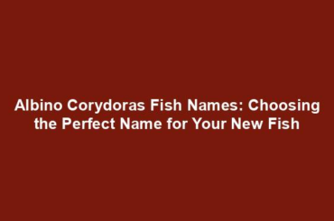 Albino Corydoras Fish Names: Choosing the Perfect Name for Your New Fish