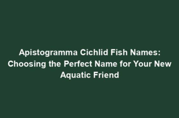 Apistogramma Cichlid Fish Names: Choosing the Perfect Name for Your New Aquatic Friend