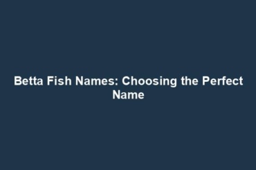 Betta Fish Names: Choosing the Perfect Name