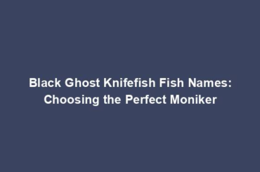 Black Ghost Knifefish Fish Names: Choosing the Perfect Moniker