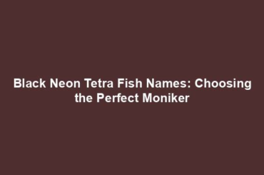 Black Neon Tetra Fish Names: Choosing the Perfect Moniker