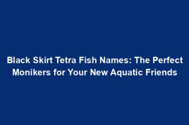 Black Skirt Tetra Fish Names: The Perfect Monikers for Your New Aquatic Friends