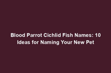 Blood Parrot Cichlid Fish Names: 10 Ideas for Naming Your New Pet