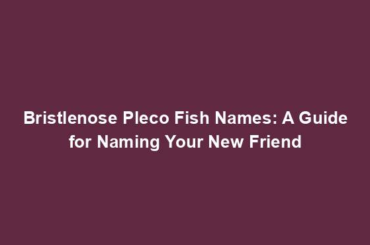 Bristlenose Pleco Fish Names: A Guide for Naming Your New Friend