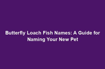 Butterfly Loach Fish Names: A Guide for Naming Your New Pet