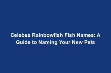 Celebes Rainbowfish Fish Names: A Guide to Naming Your New Pets