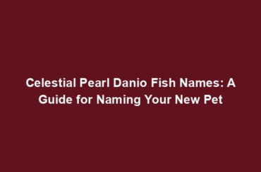 Celestial Pearl Danio Fish Names: A Guide for Naming Your New Pet