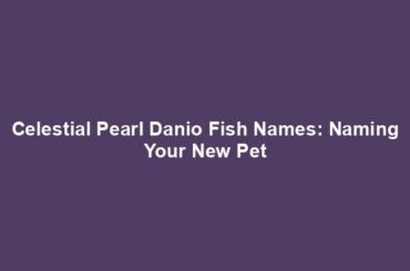 Celestial Pearl Danio Fish Names: Naming Your New Pet