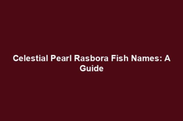 Celestial Pearl Rasbora Fish Names: A Guide