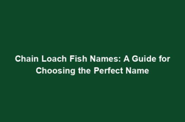 Chain Loach Fish Names: A Guide for Choosing the Perfect Name