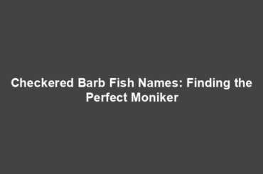 Checkered Barb Fish Names: Finding the Perfect Moniker