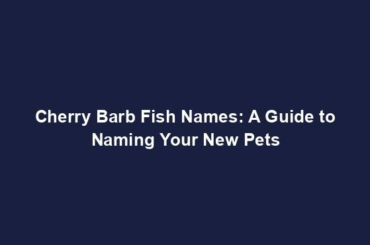 Cherry Barb Fish Names: A Guide to Naming Your New Pets