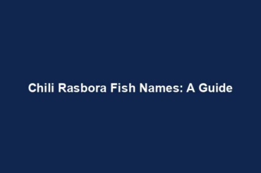 Chili Rasbora Fish Names: A Guide