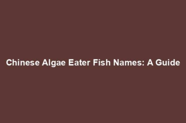 Chinese Algae Eater Fish Names: A Guide