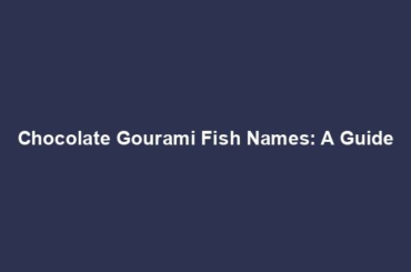 Chocolate Gourami Fish Names: A Guide