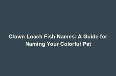 Clown Loach Fish Names: A Guide for Naming Your Colorful Pet