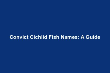 Convict Cichlid Fish Names: A Guide