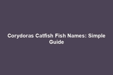 Corydoras Catfish Fish Names: Simple Guide