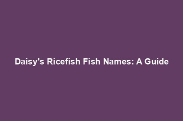 Daisy's Ricefish Fish Names: A Guide