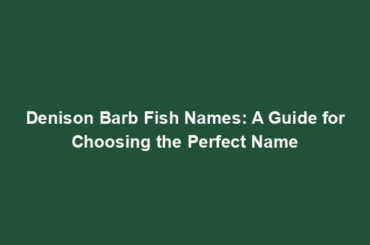 Denison Barb Fish Names: A Guide for Choosing the Perfect Name