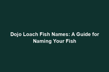 Dojo Loach Fish Names: A Guide for Naming Your Fish