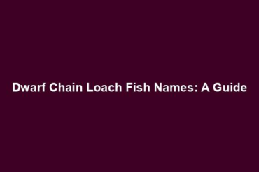 Dwarf Chain Loach Fish Names: A Guide