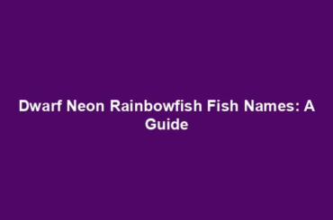 Dwarf Neon Rainbowfish Fish Names: A Guide