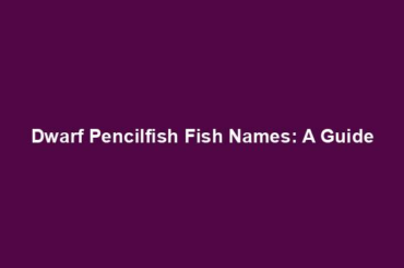 Dwarf Pencilfish Fish Names: A Guide