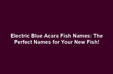 Electric Blue Acara Fish Names: The Perfect Names for Your New Fish!