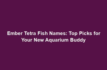 Ember Tetra Fish Names: Top Picks for Your New Aquarium Buddy