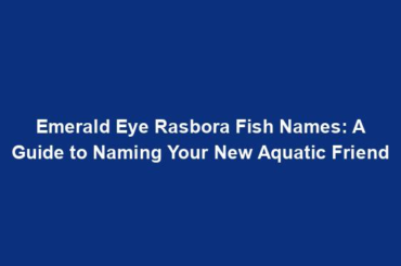 Emerald Eye Rasbora Fish Names: A Guide to Naming Your New Aquatic Friend