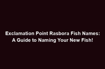 Exclamation Point Rasbora Fish Names: A Guide to Naming Your New Fish!