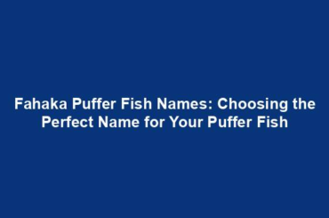 Fahaka Puffer Fish Names: Choosing the Perfect Name for Your Puffer Fish