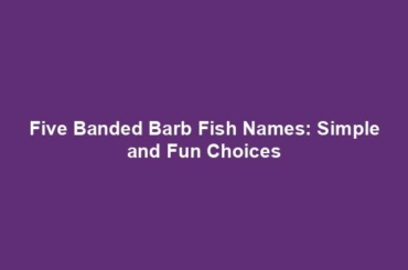 Five Banded Barb Fish Names: Simple and Fun Choices