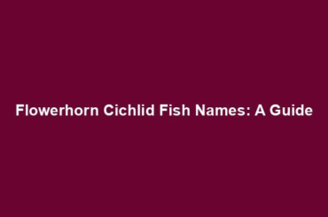 Flowerhorn Cichlid Fish Names: A Guide