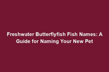 Freshwater Butterflyfish Fish Names: A Guide for Naming Your New Pet