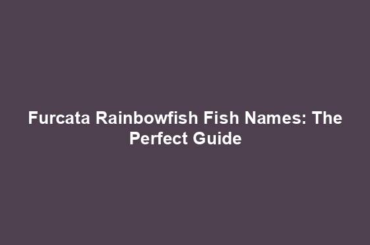 Furcata Rainbowfish Fish Names: The Perfect Guide