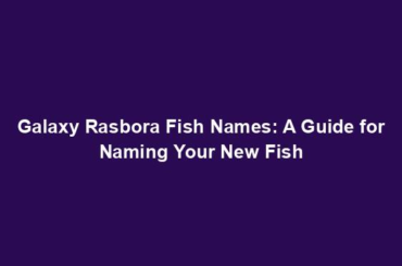 Galaxy Rasbora Fish Names: A Guide for Naming Your New Fish