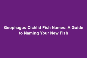 Geophagus Cichlid Fish Names: A Guide to Naming Your New Fish