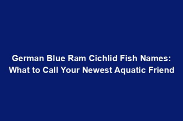 German Blue Ram Cichlid Fish Names: What to Call Your Newest Aquatic Friend