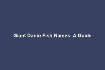 Giant Danio Fish Names: A Guide