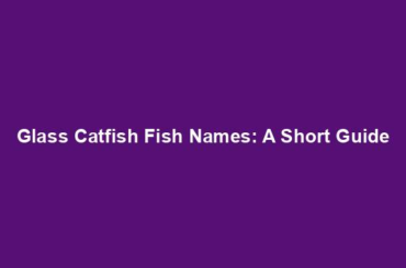 Glass Catfish Fish Names: A Short Guide