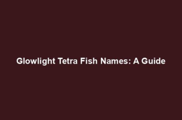 Glowlight Tetra Fish Names: A Guide