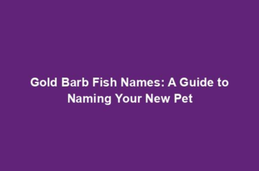 Gold Barb Fish Names: A Guide to Naming Your New Pet