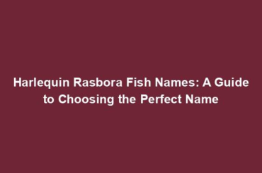 Harlequin Rasbora Fish Names: A Guide to Choosing the Perfect Name