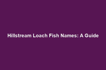 Hillstream Loach Fish Names: A Guide