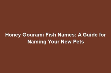 Honey Gourami Fish Names: A Guide for Naming Your New Pets