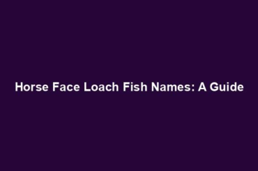 Horse Face Loach Fish Names: A Guide