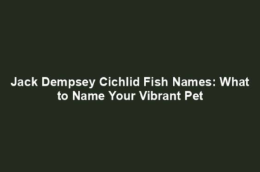 Jack Dempsey Cichlid Fish Names: What to Name Your Vibrant Pet